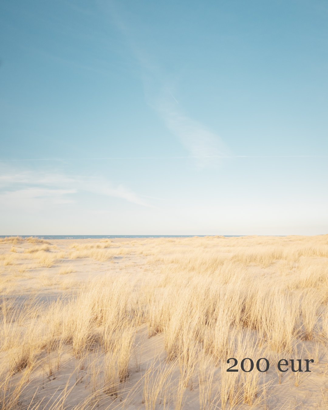 Ozolins Pottery gift card