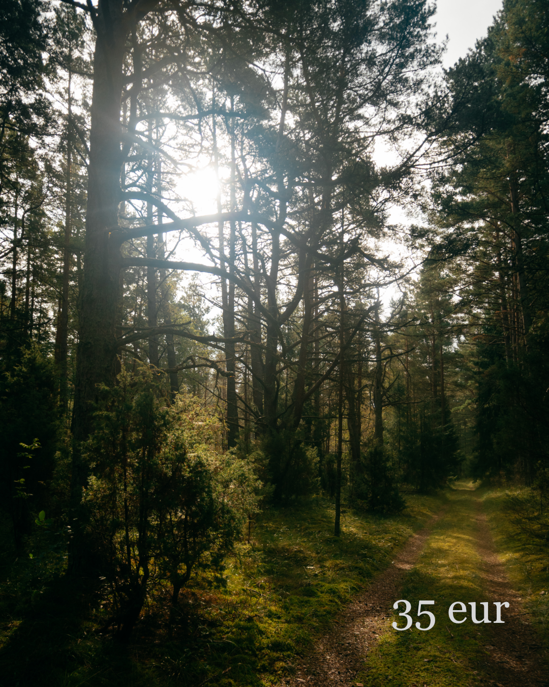 Ozolins Pottery gift card