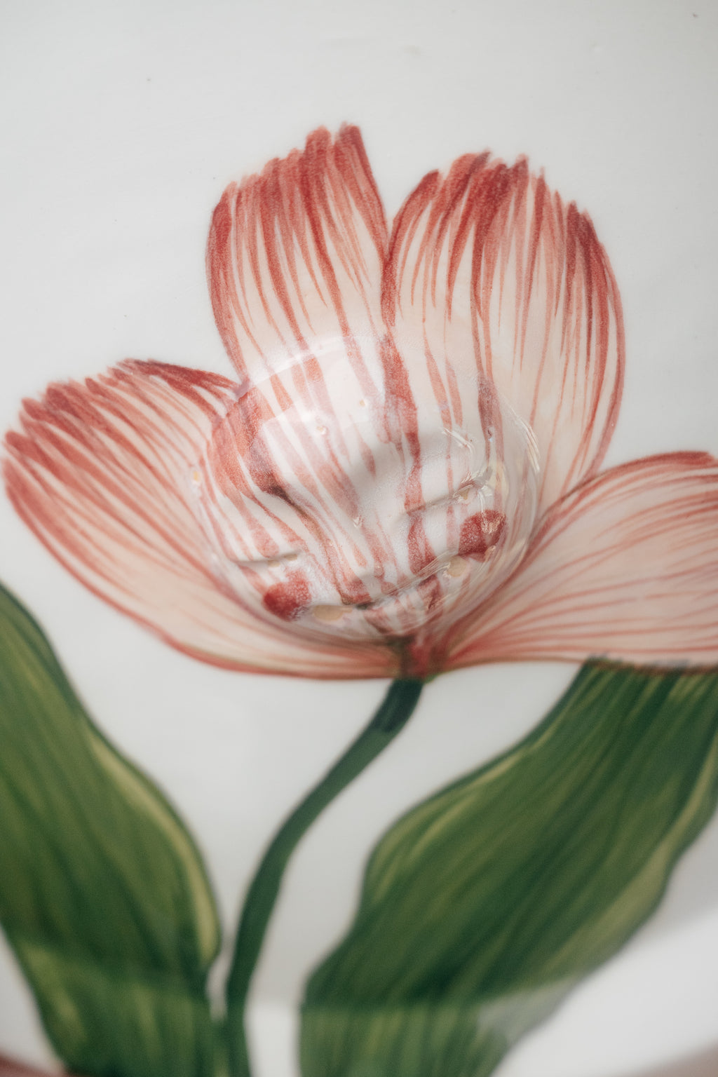 Tulip | Porcelain Plate