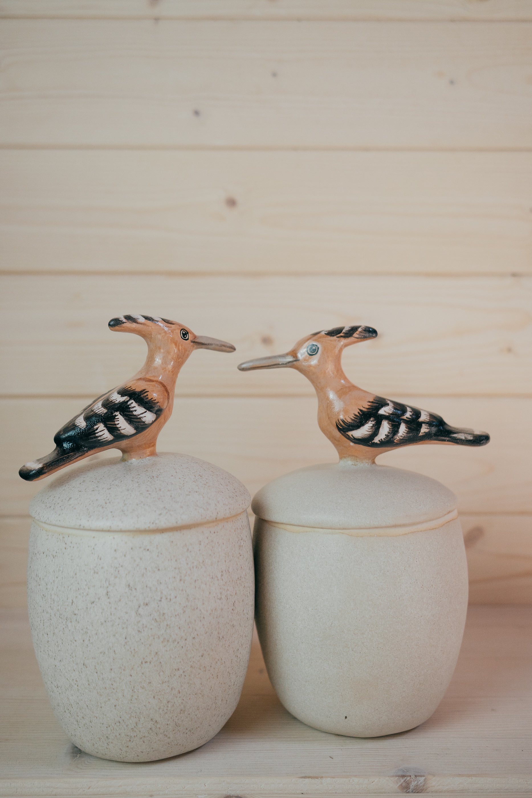 Hoopoe| Lidded stoneware vessel