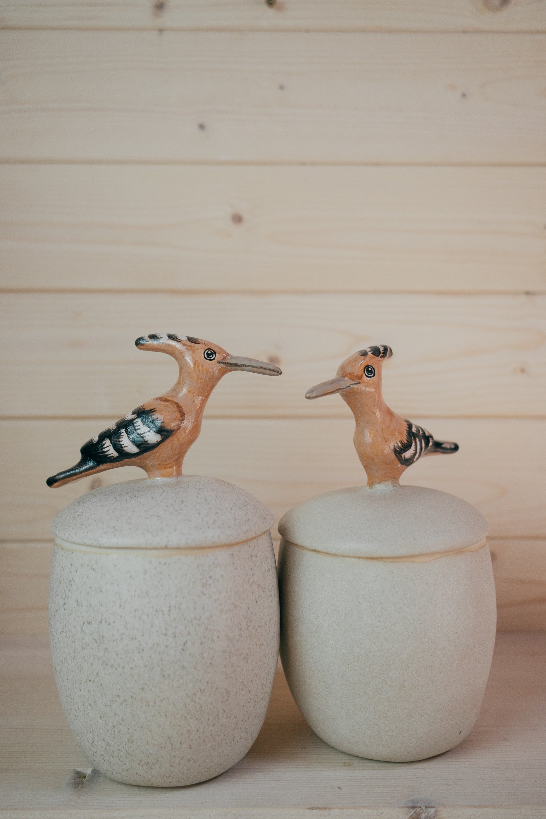 Hoopoe| Lidded stoneware vessel