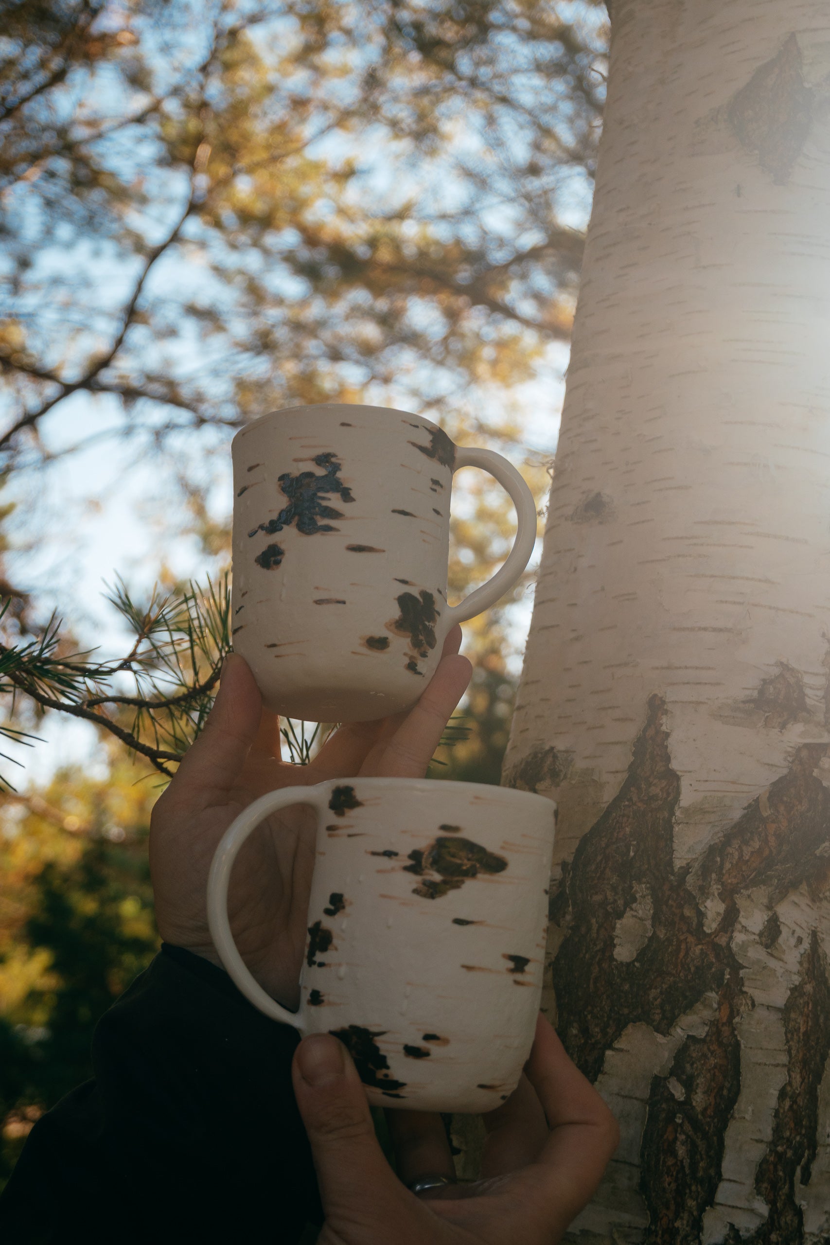 Birch | Porcelain mug
