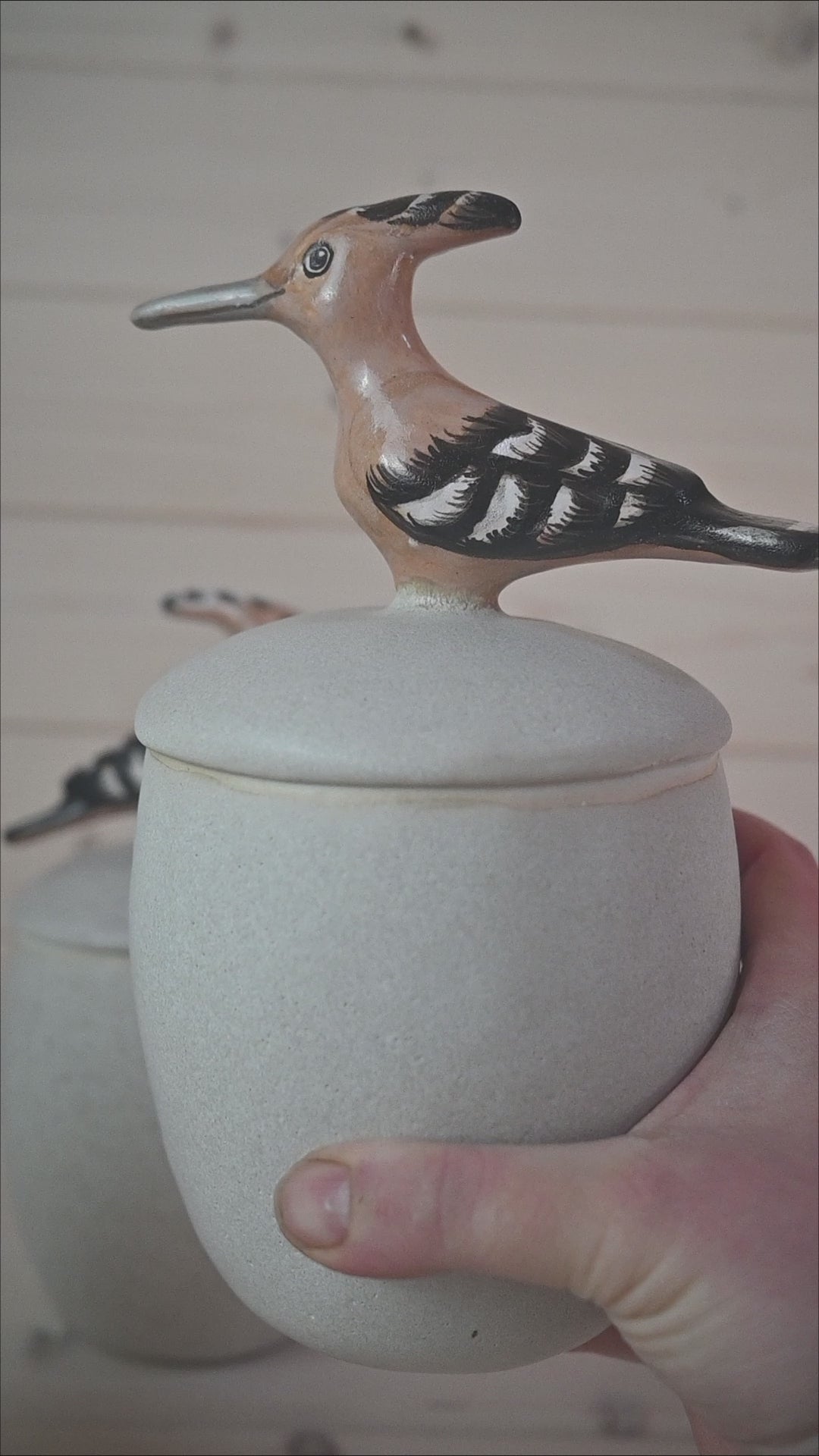 Hoopoe| Lidded stoneware vessel
